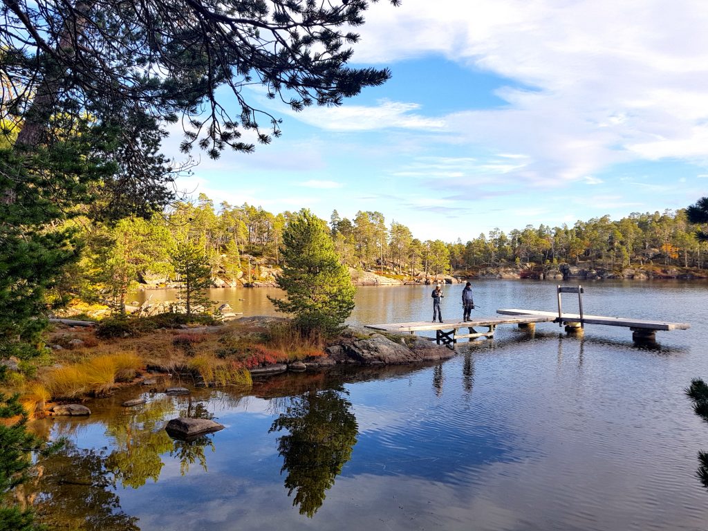 Paysage du lac Inari en Laponie avec ponton