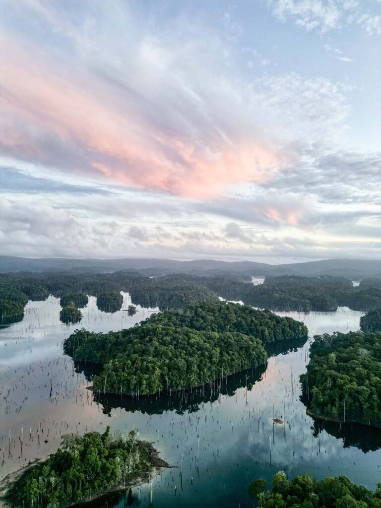 Jungle Guyane Expedition Sinnamay