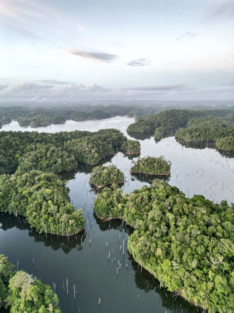 Jungle Amazoniene expedition Sinnamary