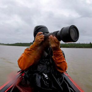 Image de Ludovic Ibba