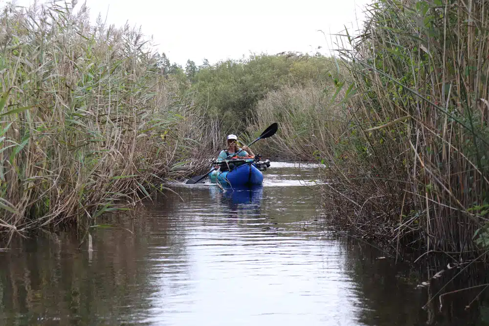 Rivière Alstaren en Suède
